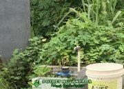 PDAM Mamuju Dikeluhkan Warga, Pasokan Air Tidak Mengalir Selama 3 Hari