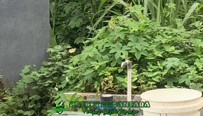 PDAM Mamuju Dikeluhkan Warga, Pasokan Air Tidak Mengalir Selama 3 Hari