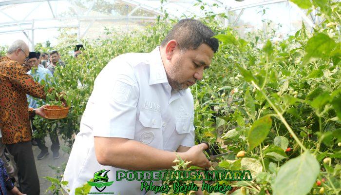 Munafri Panen Raya Cabai Rawit di Pesantren Gombara