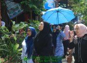 TP PKK Kota Makassar Bina TP PKK Kelurahan Panampu, Siap Ikuti Lomba Kelurahan Terpadu Sulsel 2026