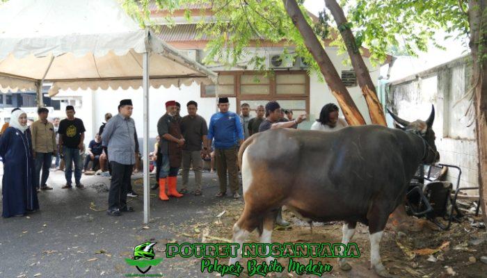 Wali Kota Appi Saksikan Langsung Penyembelihan Hewan Kurban di Balai Kota