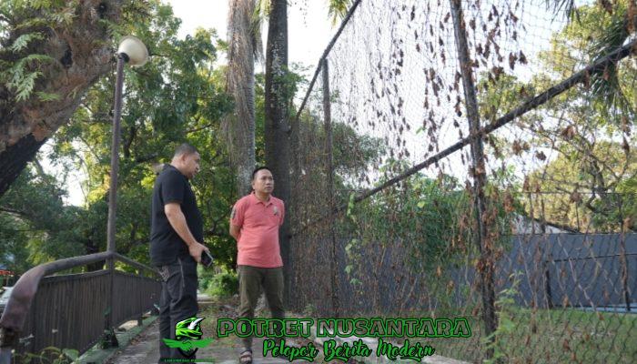 Wali Kota Munafri Soroti Fasilitas Olahraga Terbengkalai: “Taman Bukan, Hutan Juga Bukan”