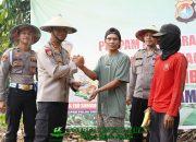 Dari Ladang Jagung, Propam Polda Sulbar Bangun Ketahanan Pangan Berkelanjutan