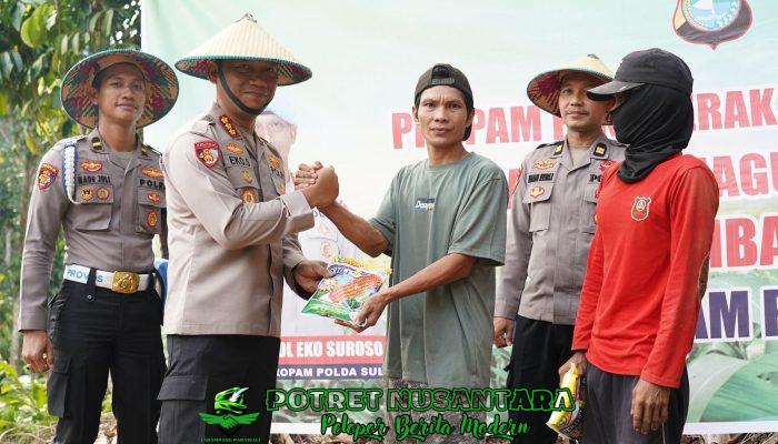 Dari Ladang Jagung, Propam Polda Sulbar Bangun Ketahanan Pangan Berkelanjutan