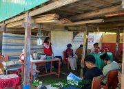 Pemanfaatan Daun Mangrove Jeruju (Acanthus ilicifolius) Sebagai Teh Herbal