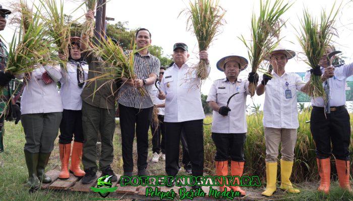 Wagub Sulbar Dorong Revolusi Irigasi dan Cetak Sawah Baru, Targetkan Produktivitas Padi Setara dengan Jawa