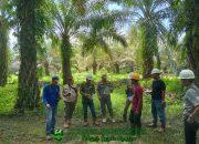 Tindaklanjuti Aduan Warga, Tim Terpadu Pemprov Sulbar Tinjau Dugaan Pencemaran Limbah Perusahaan Sawit di Baras Pasangkayu