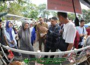 Makassar Dorong Urban Farming Jadi Gerakan Massal, 458 Kelompok Tani Sudah Aktif