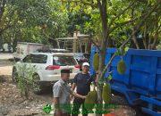 Urban Farming Ala H. Sukardi Hijaukan Komplek Blok M BTP