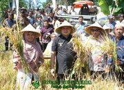 Pemkot Makassar Genjot Pertanian Kota, Wali Kota Munafri Ajak Warga Garap Lahan Sempit