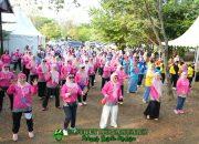 Melinda Aksa Perkuat Solidaritas Kader dalam Gebyar HKG PKK ke-53