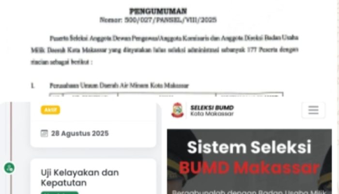 Ratusan Gugur, 177 Peserta Lanjut Seleksi Direksi dan Dewas BUMD Makassar