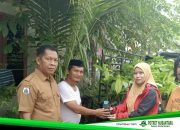 Dinas Perkebunan Sulbar Salurkan Bantuan Rp4,59 Miliar untuk Petani Kakao di Majene