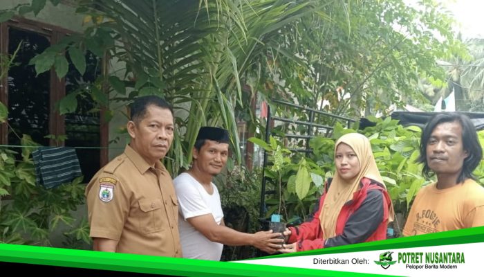 Dinas Perkebunan Sulbar Salurkan Bantuan Rp4,59 Miliar untuk Petani Kakao di Majene