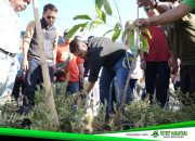 Gerakan Hijau GPIB, Munafri Ajak Warga Hijaukan Kota Makassar