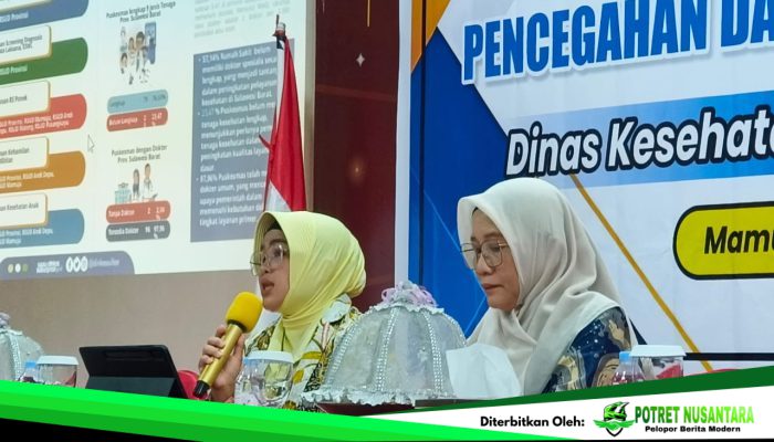 Sulbar Hadapi Beban Penyakit Tinggi, Dinkes Paparkan Strategi 5 Tahun ke Depan
