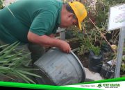 Sampah Jadi Bahan Obrolan: Ketika Kesadaran Kebersihan Menjadi Tren Baru