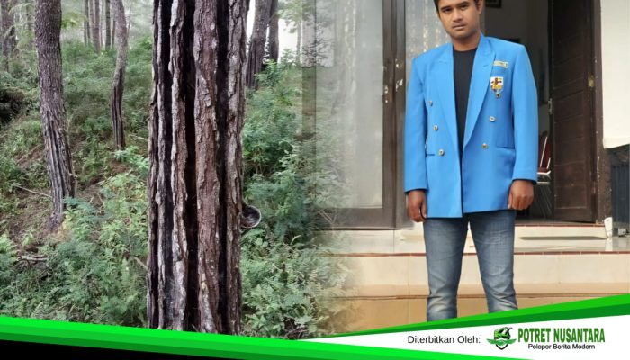 Hutan Bolaromang Di Incar Lagi ”Izin Baru, Luka Lama”