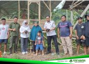 Dukung Ketahanan Pangan, Distapang Sulbar Salurkan 1000 Ekor Ayam KUB ke KWT di Tapalang Barat