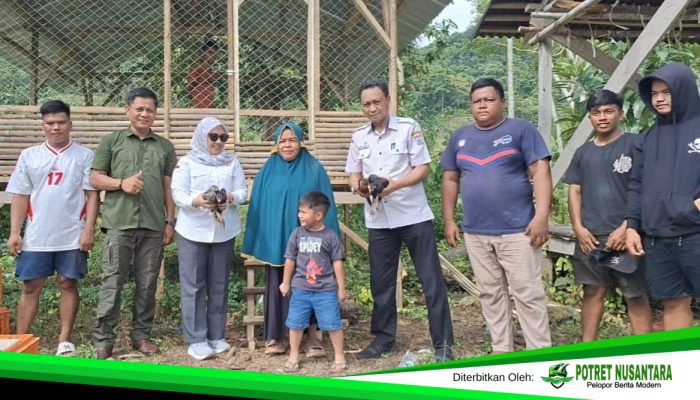 Dukung Ketahanan Pangan, Distapang Sulbar Salurkan 1000 Ekor Ayam KUB ke KWT di Tapalang Barat