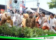 Wali Kota Munafri Ingin Urban Farming Solusi Pertanian Kota, Penopang Pangan