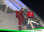 Siaga 24 Jam, Damkar Polman Tangani Evakuasi Tawon hingga Cincin Macet