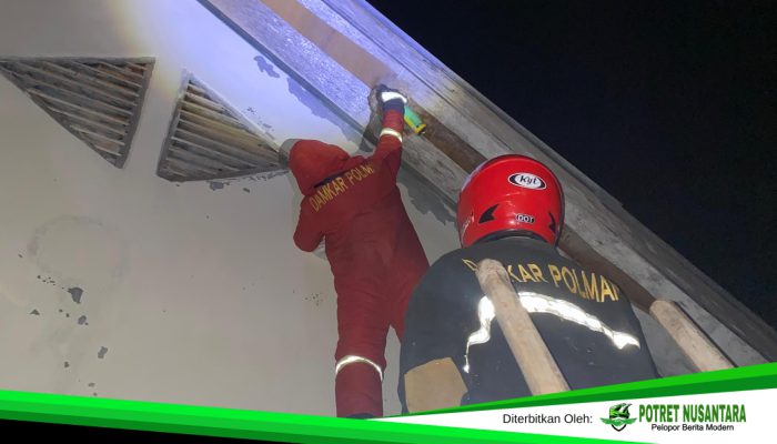 Siaga 24 Jam, Damkar Polman Tangani Evakuasi Tawon hingga Cincin Macet