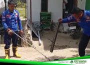 Satwa Liar Kian Sering Muncul di Permukiman, Damkar Polman Perkuat Kesiapsiagaan