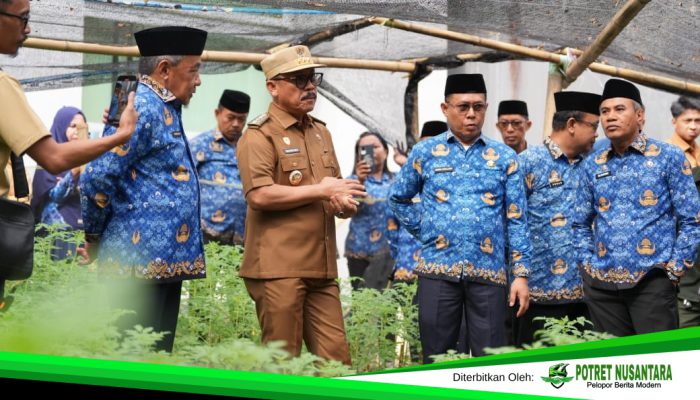 Cegah Inflasi, Gubernur Sulbar Tinjau Pembibitan Cabe dan Tomat di Kantor Ketapang