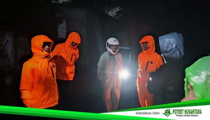 BPBD Makassar Tangani Pohon Tumbang dan Evaluasi Warga di Sejumlah Wilayah Rawan