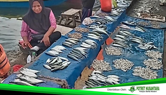 Surga Belanja Ikan Segar dan Wisata Laut yang Indah: Pelabuhan TPI Palopo Tempatnya