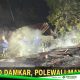 Damkar Polman Gerak Cepat Padamkan Kebakaran Dini Hari di Takatidung, Tiga Rumah dan Tiga Motor Terbakar