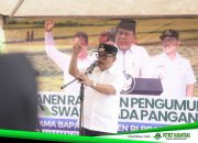 Gubernur Sulbar Ikuti Panen Raya Nasional, SDK Tegaskan Sulbar Surplus Beras Hampir 70 Ribu Ton