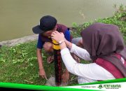 Mahasiswa KKN Unsulbar Pasang Reflektor Jalan Berbahan Bambu di Desa Buku