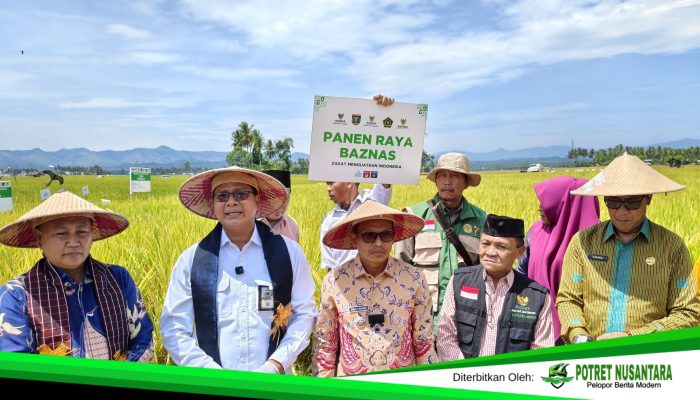 Dukung Program Presiden Prabowo, Baznas Gelar Panen Raya Padi Ramah Lingkungan di Polewali Mandar