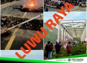 Moratorium DOB Pusat & Resistensi Induk: Sulsel Enggan Melepas “Sapi Perah”?