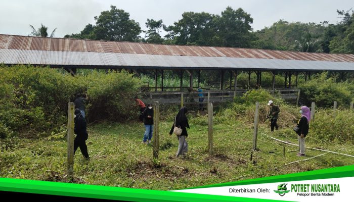 Pemkab Polman Revitalisasi UPTD Breeding Center Landi Kanusuang, Kembangkan Model Pertanian Terpadu