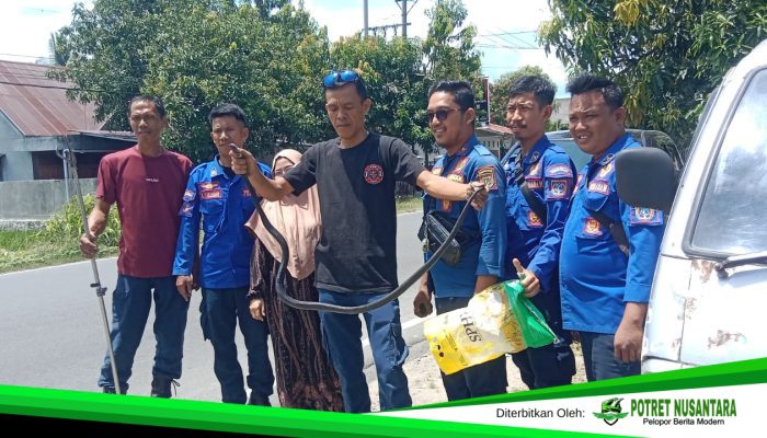 Damkar Polman Evakuasi Ular di Permukiman Warga Binuang Awal Februari