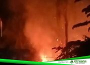 Api dari Perbukitan Hanguskan 1,5 Hektare Lahan di Campalagian