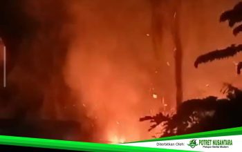 Api dari Perbukitan Hanguskan 1,5 Hektare Lahan di Campalagian