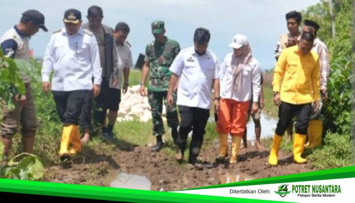 Pemkot Makassar Gelontorkan Rp4 Miliar, Akses Berlumpur, Akses Romang Tangayya Dibeton