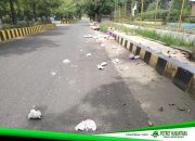 Sampah Pampers Berserakan di Dekat area Kampus Unasman, Cermin Lemahnya Pengelolaan Lingkungan Pemkab Polewali Mandar