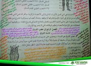 Lidah Manusia: Nikmat Kecil Dengan Keajaiban Besar Dari Allah SWT