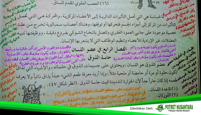 Lidah Manusia: Nikmat Kecil Dengan Keajaiban Besar Dari Allah SWT