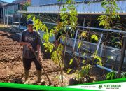 Kolaborasi Lapas dan Yayasan, Kebun Asimilasi Makassar Hadirkan Durian Premium