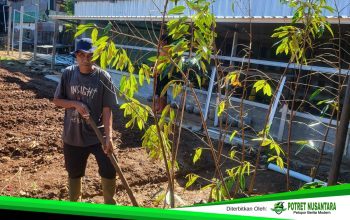 Kolaborasi Lapas dan Yayasan, Kebun Asimilasi Makassar Hadirkan Durian Premium