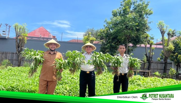 Gerakan Kebun Lorong di Makassar Tunjukkan Peran Komunitas dalam Menjaga Ketahanan Pangan
