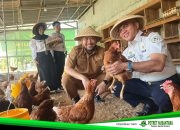 Dunia Disangga dari Bawah: Petani Kecil, Kota, dan Revolusi Sunyi Pangan.