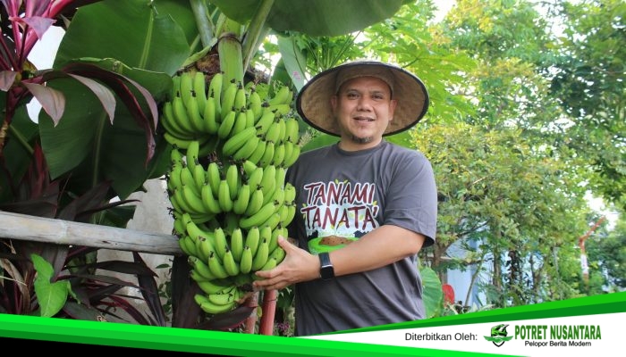 Nada yang Menanam: Fadly Padi dan Jalan Sunyi Urban Farming Makassar