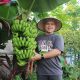 Nada yang Menanam: Fadly Padi dan Jalan Sunyi Urban Farming Makassar